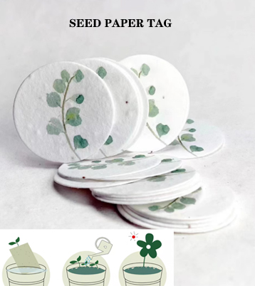 Seed paper tag